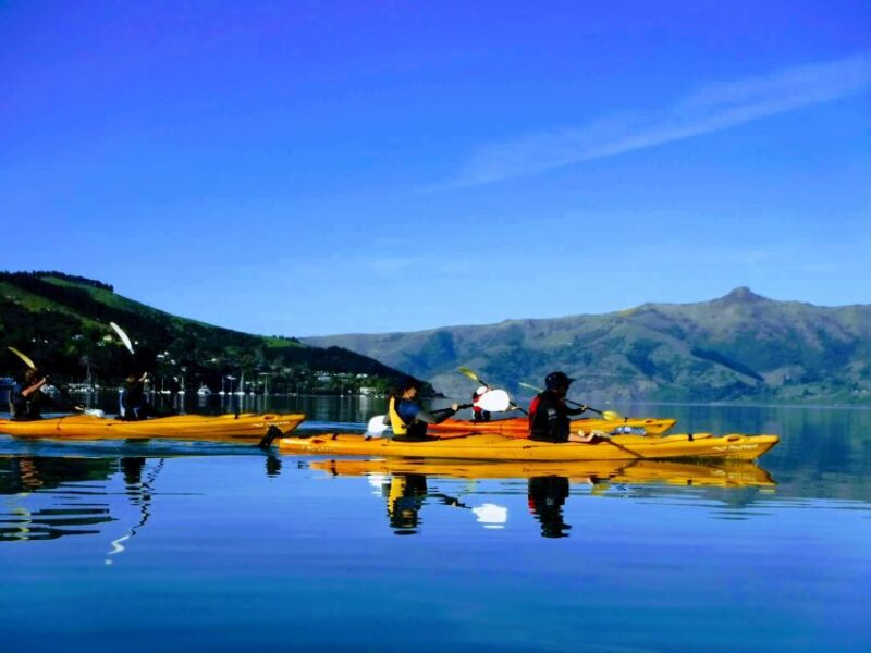 Akaroa: Electric Mountain Bike and Sea Kayak Adventure - Electric Mountain Bike Tour