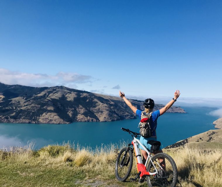 Akaroa: Electric Mountain Bike and Sea Kayak Adventure - Sea Kayak Safari