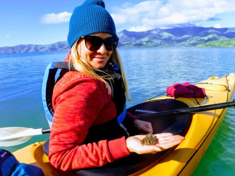 Akaroa: Electric Mountain Bike and Sea Kayak Adventure - Participant Requirements