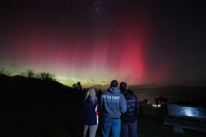 Akaroa Evening Stargazing & Daytime Solar Viewing Tour + Dinner - The Experience in Practice: Pros and Cons