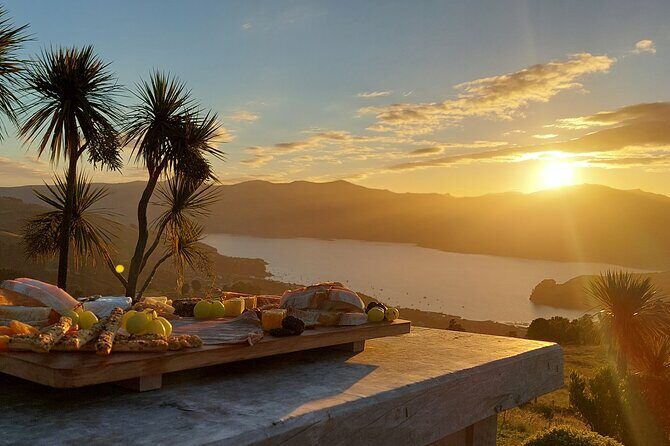 Akaroa Evening Stargazing & Daytime Solar Viewing Tour + Dinner - The Sum Up: Who Is This Tour Best For?