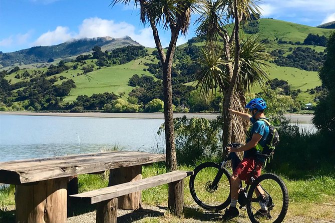 Akaroa Explorer- Guided Electric Bike Tour in Akaroa - Scenic Cycling Route