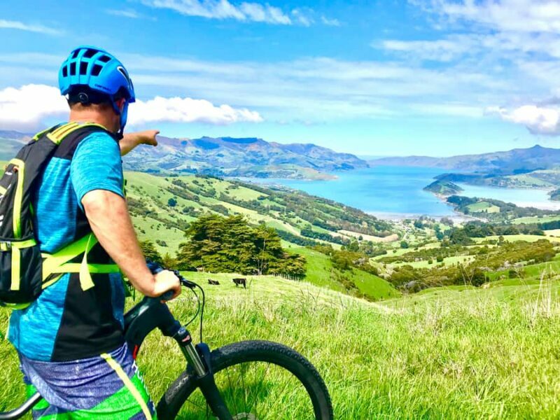 Akaroa Explorer: Guided Electric Mountain Bike Tour - Key Points