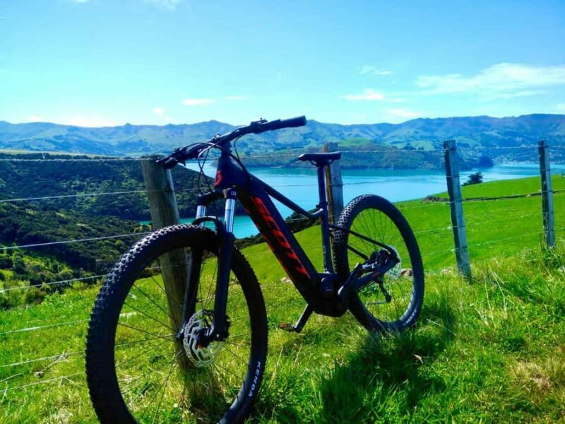 Akaroa Explorer: Guided Electric Mountain Bike Tour - Considering the Value