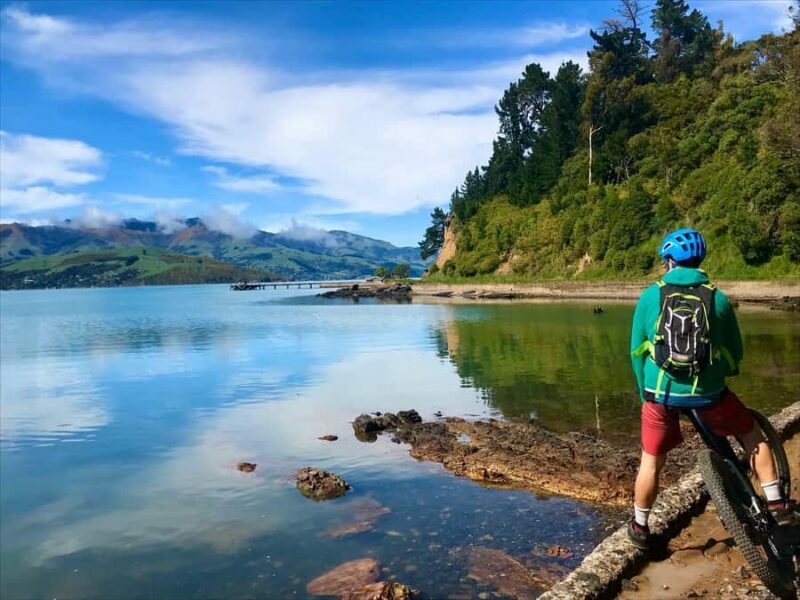 Akaroa Explorer: Guided Electric Mountain Bike Tour - Final Thoughts
