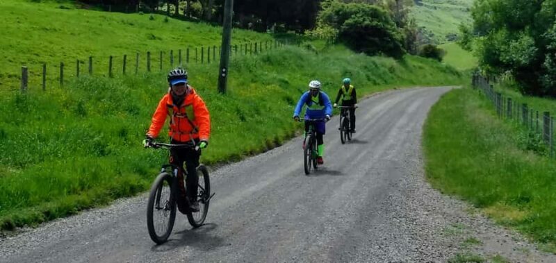 Akaroa Explorer: Guided Electric Mountain Bike Tour - Who Should Consider This Tour?