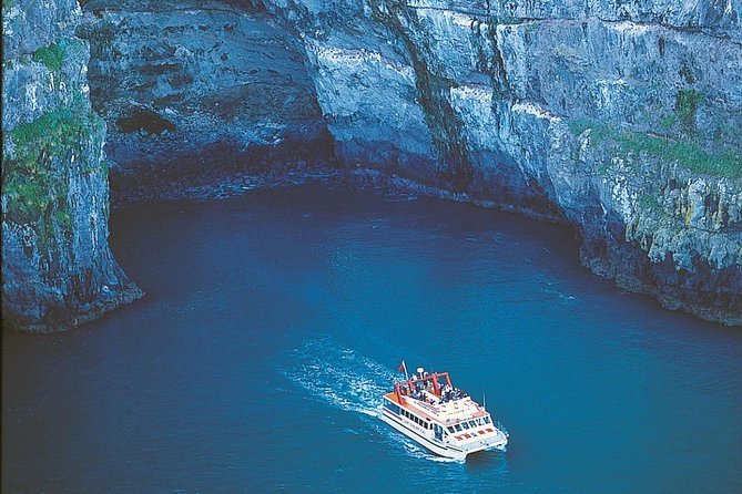 Akaroa Full Day Sightseeing Tour From Christchurch - Customer Reviews and Experiences