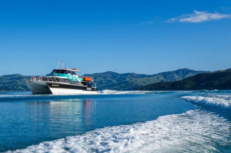 Akaroa Harbour 2-Hour Dolphin Nature Cruise - Frequently Asked Questions