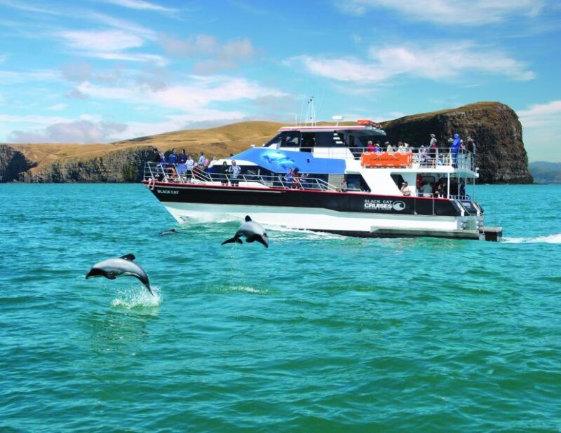 Akaroa Harbour 2-Hour Nature Cruise - Onboard Experience