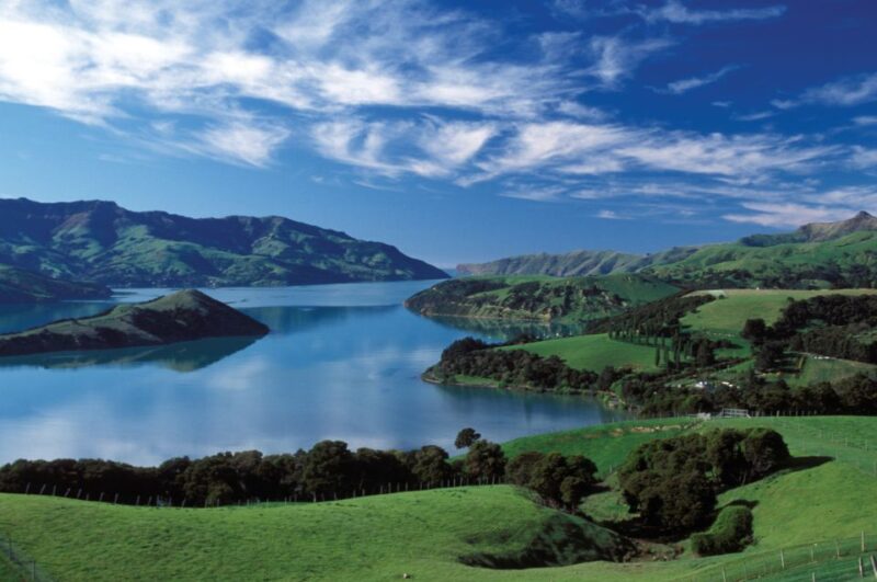 Akaroa Harbour 2-Hour Nature Cruise - Customer Feedback and Ratings