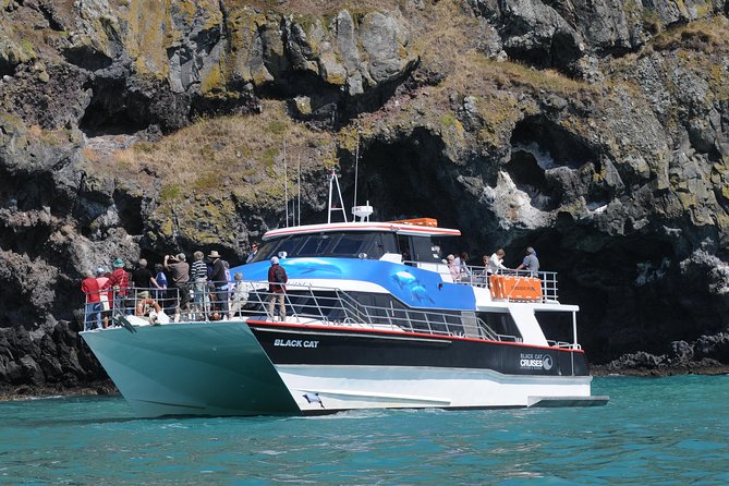 Akaroa Harbour Nature Cruise - Cruise Stops