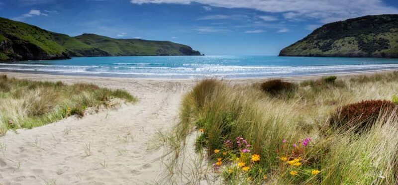 Akaroa: Lonely Beach Trail by E-Scooter. selfguided day out - An In-Depth Look at the Akaroa Lonely Beach Trail