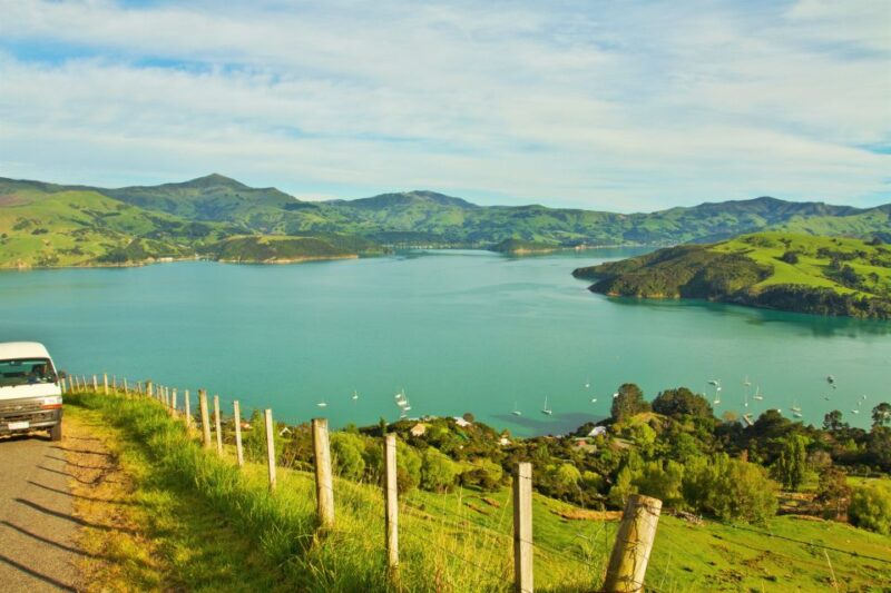 Akaroa: Pohatu Penguins Scenic Nature 2-Hour or 4-Hour Tour - Tour Experience and Highlights