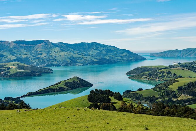 Akaroa Private Day Tour From Christchurch (Carbon Neutral) - Pickup Information