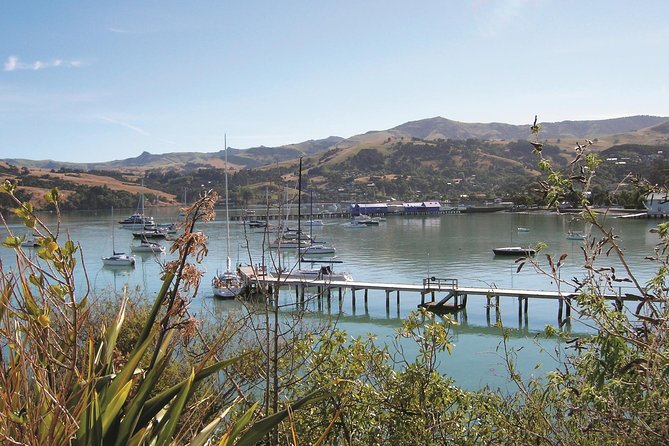 Akaroa Shore Excursion: Banks Peninsula, Christchurch City Tour and Sheep Farm Tour - Pricing and Booking Requirements