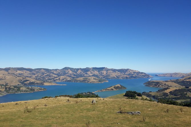 Akaroa Shore Excursion: Banks Peninsula, Christchurch City Tour and Sheep Farm Tour - Tour Capacity and Safety