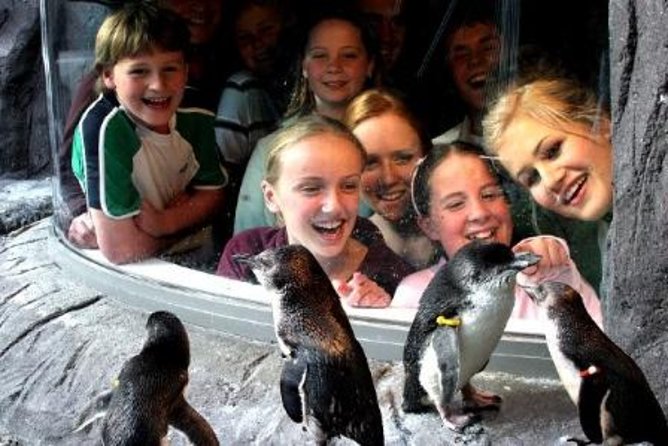 Akaroa Shore Excursion: Banks Peninsula, Christchurch City Tour and the International Antarctic Centre - Group Size
