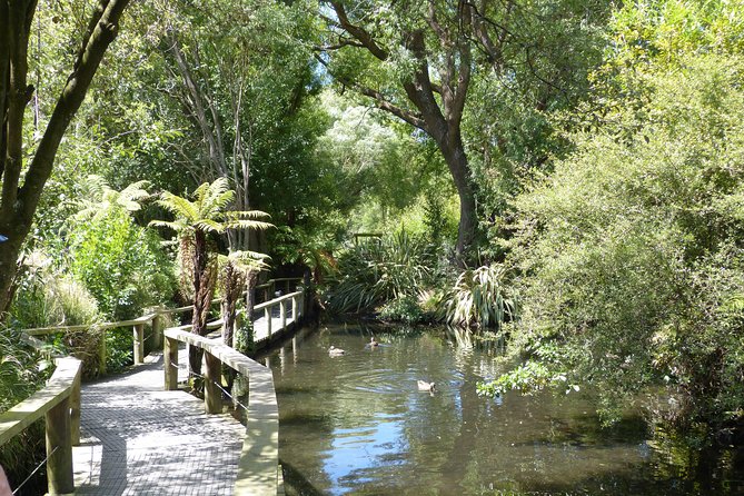 Akaroa Shore Excursion: Banks Peninsula, Christchurch City Tour and Willowbank Wildlife Reserve - Traveler Feedback