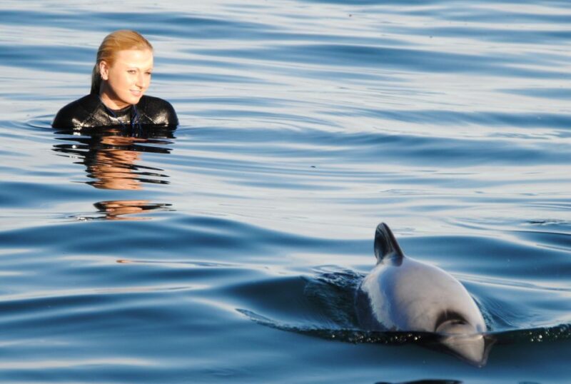 Akaroa: Swimming With Wild Dolphins 3-Hour Experience - Gear and Facilities Provided
