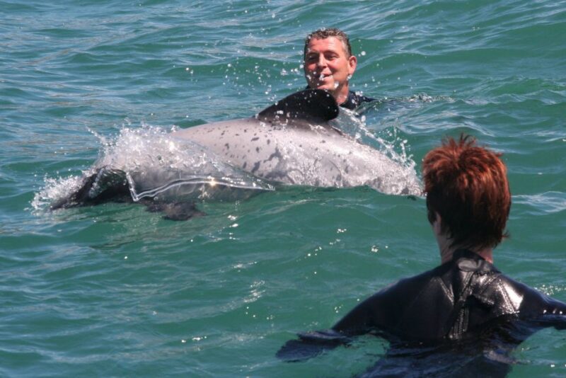 Akaroa: Swimming With Wild Dolphins 3-Hour Experience - Participant Requirements and Restrictions