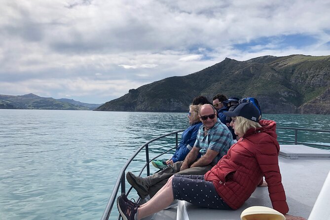 Akaroa Wildlife Cruise - Meeting Point and Logistics