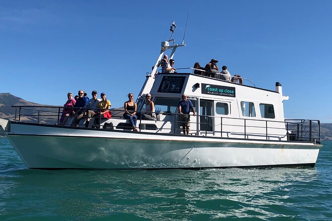 Akaroa Wildlife Cruise - Accessibility and Participation