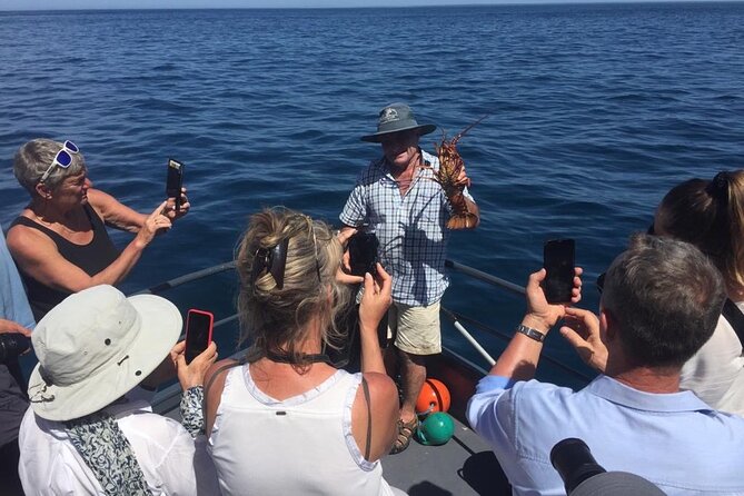 Akaroa Wildlife Cruise - Tour Guides and Experience