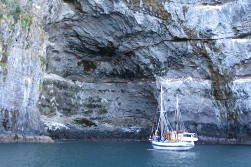 Akaroa: Wildlife Cruise with Dolphins and Penguins - Final Thoughts