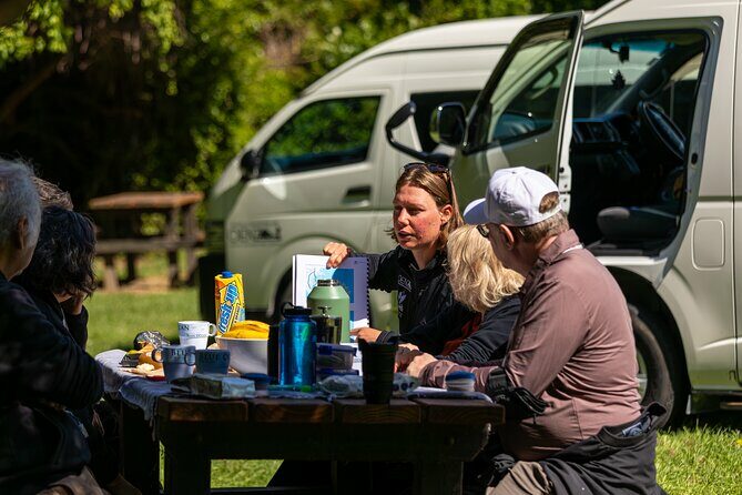 Akaroa with optional dolphin cruise (Small Group Tour) - The Practical Side: What You’ll Love & Consider