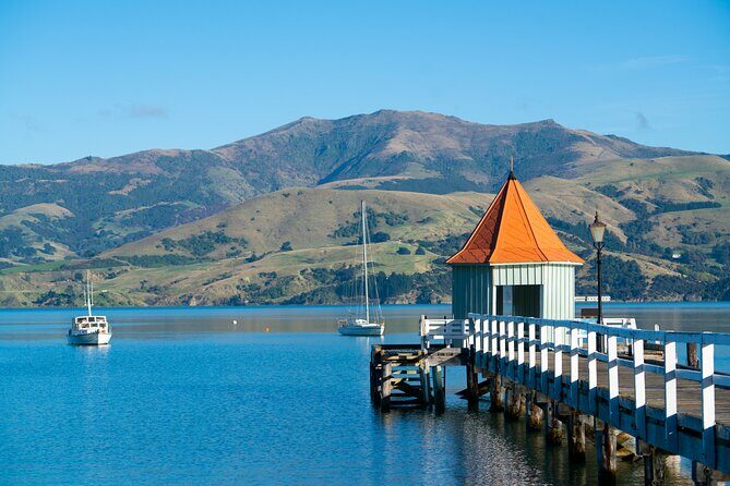 Akaroa with optional dolphin cruise (Small Group Tour) - The Sum Up