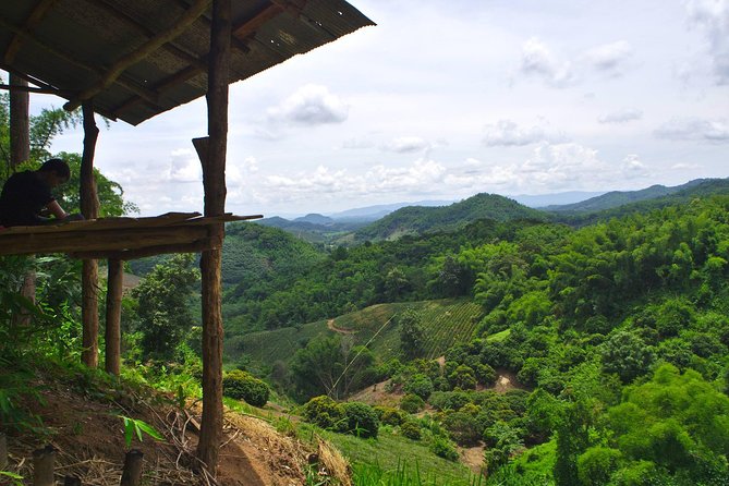 Akha Private Eco-Trekking 2 Days 1 Night Chiang Rai - Health and Accessibility Considerations