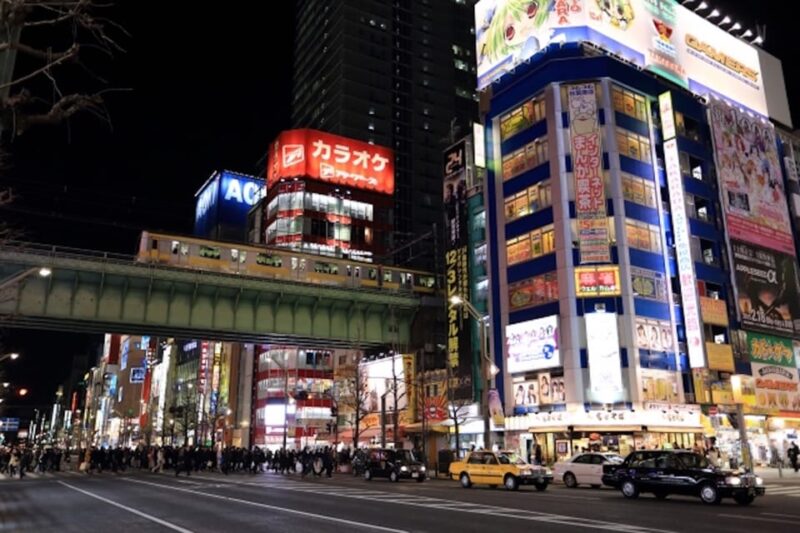 Akihabara: Go-Kart Experience With Local Guide - Inclusion and Requirements