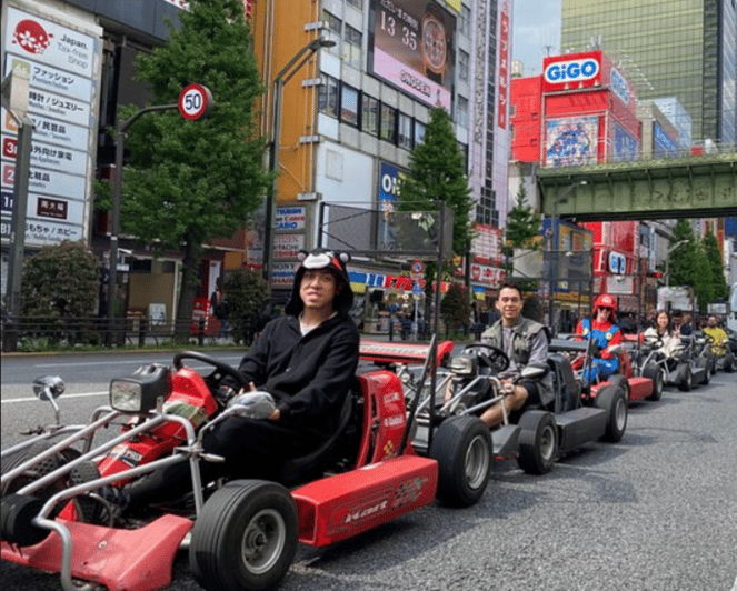 Akihabara: Go-Kart Experience With Local Guide - Dressing Up as a Character