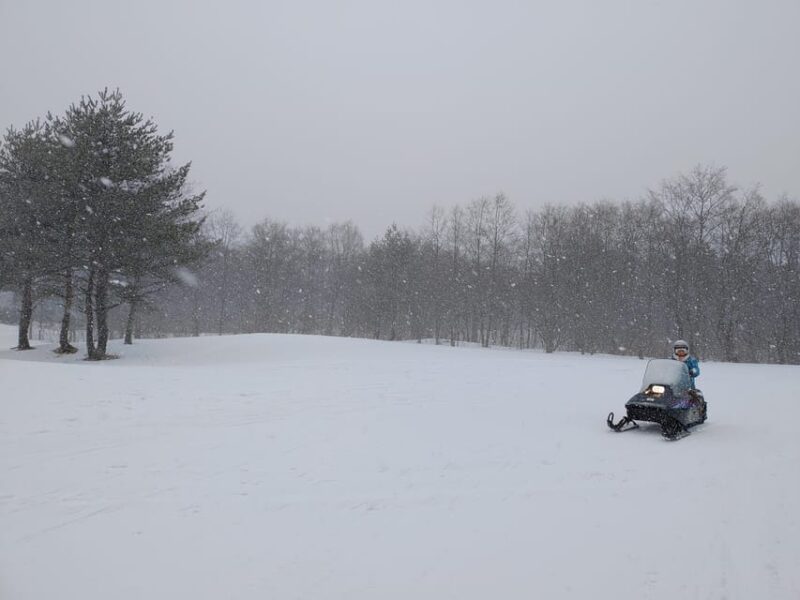 Akita: 1-Hour Snowmobile Riding for Beginner (Single-Seater) - Whats Included in the Tour