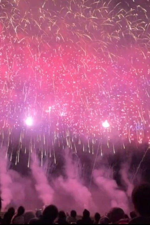 Akita:Omagari Fireworks Festival -Spring - Seat & Guide - Customer Experience and Recommendations