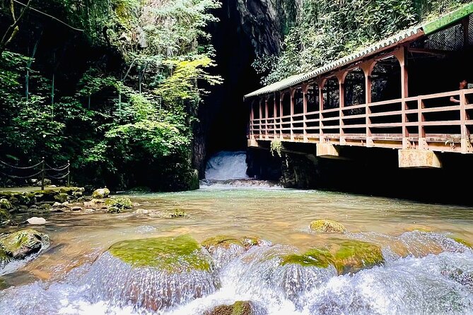 Akiyoshido Motonosumi Shrine Tsunoshima Bridge Tour From Fukuoka - Exploring Akiyoshido Cave