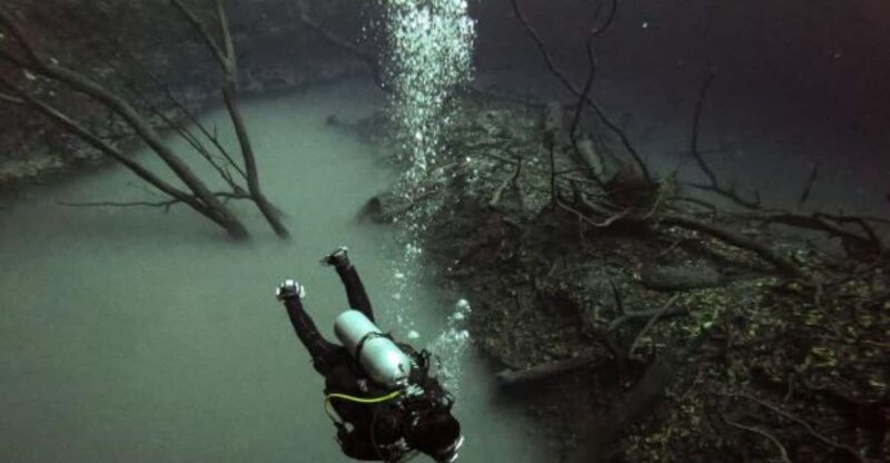 Akumal: 2 Dives at Cenote Dos Ojos - Group Size and Languages