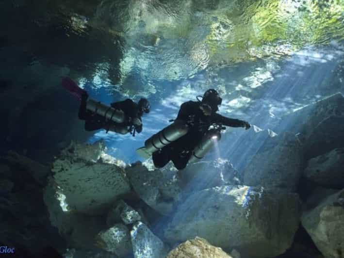 Akumal: 2 Tank Diving at Jardin Del Eden and Casa Cenote - Key Points