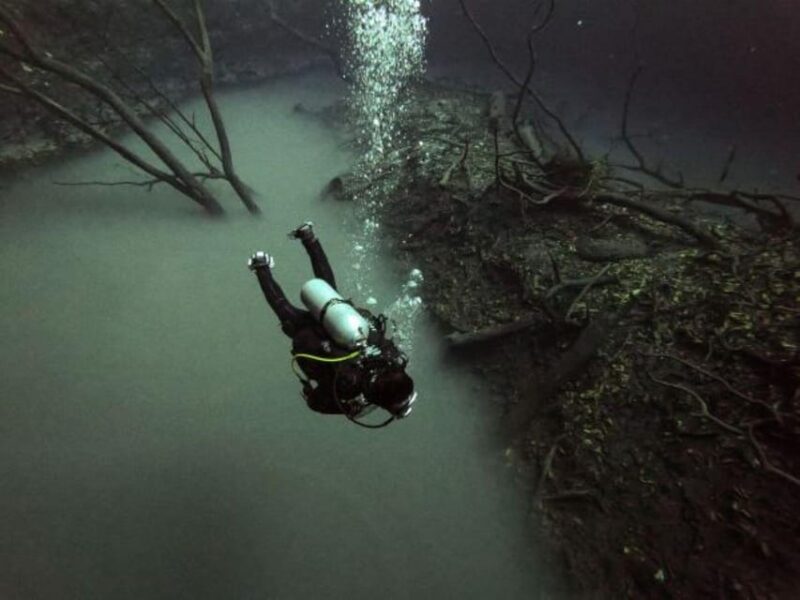 Akumal: 2 Tank Diving at Jardin Del Eden and Casa Cenote - Inclusions