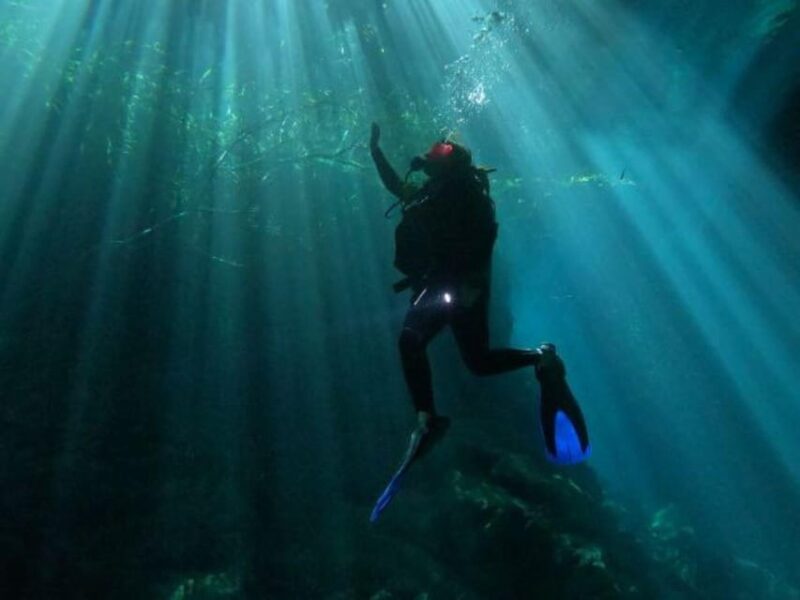 Akumal: 2 Tank Diving at Jardin Del Eden and Casa Cenote - Booking Information