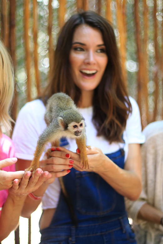 Akumal: Akumal Monkey Sanctuary Tour - Included Amenities