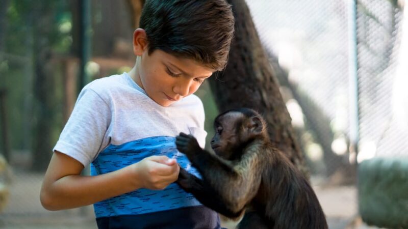 Akumal: Akumal Monkey Sanctuary Tour - Guided Jungle Walk