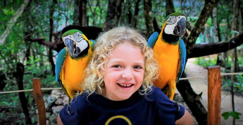 Akumal: Akumal Monkey Sanctuary Tour - Animal Welfare Focus