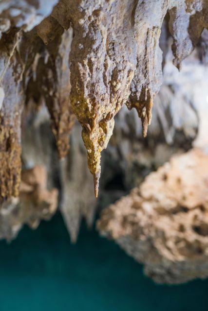 Akumal Bay: Cenotes and Snorkeling With Turtles - Snorkeling With Turtles