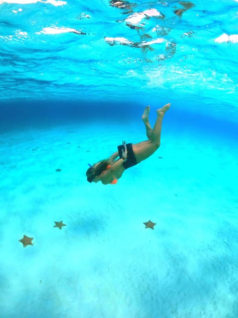 Akumal: Bay Snorkeling Tour - Key Points