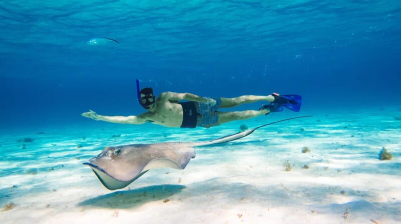 Akumal: Bay Snorkeling Tour - Pricing and Booking