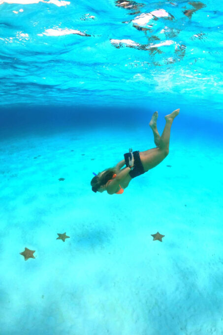 Akumal: Bay Snorkeling Tour - Meeting Point and Directions