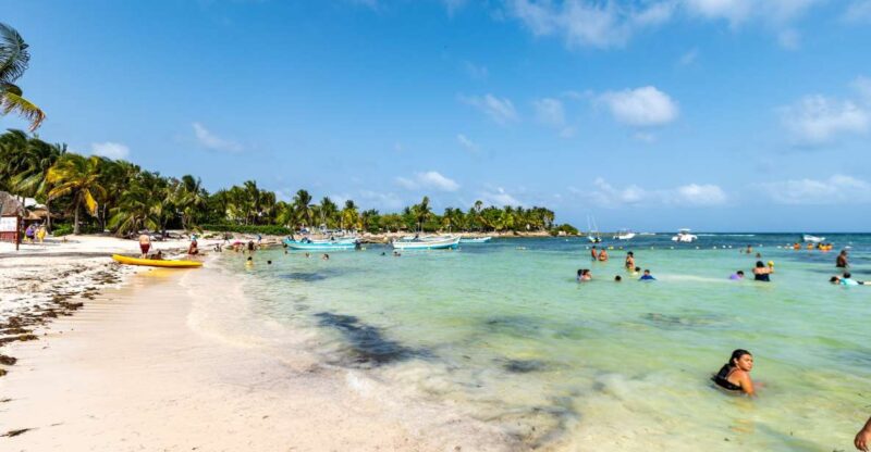 Akumal Beach: Swimming With Turtles Tour With Beach Time - Transportation and Meeting Points