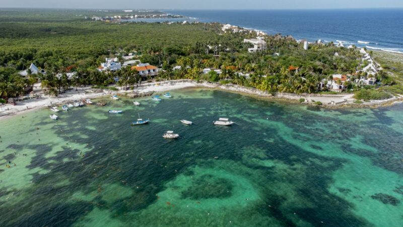 Akumal Beach: Swimming With Turtles Tour With Beach Time - Snorkeling With Turtles