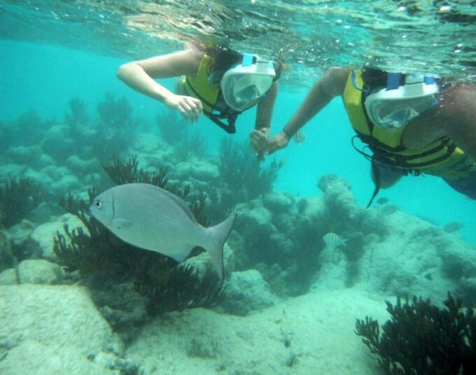 Akumal Beach: Swimming With Turtles Tour With Beach Time - Frequently Asked Questions